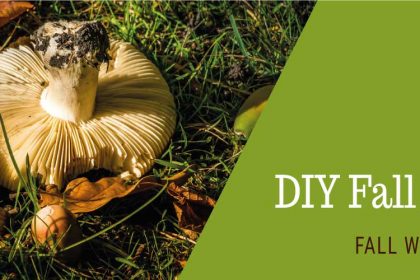 DIY Fall project with natural elements